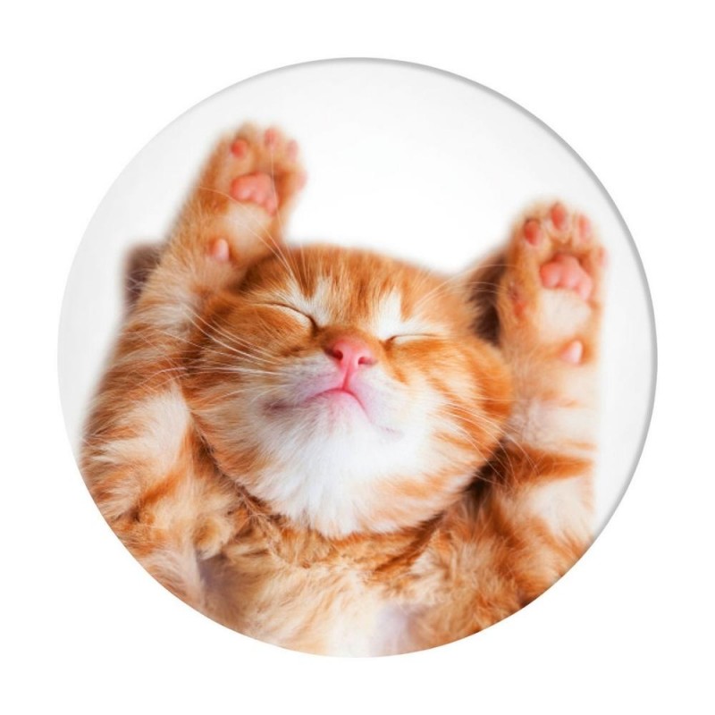 Оригинален попсокет PopSockets® PopGrip Basic Snoozy Cat, Многоцветен