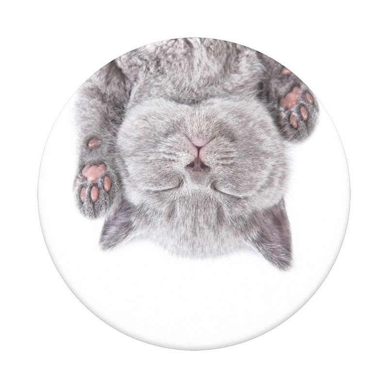 Оригинален попсокет PopSockets® PopGrip Standard Cat Nap, Многоцветен