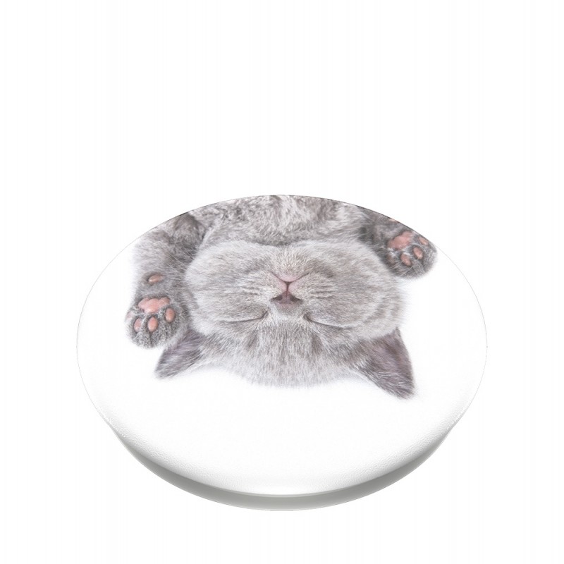 Оригинален попсокет PopSockets® PopGrip Standard Cat Nap, Многоцветен